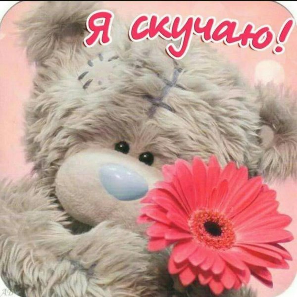 медвежонок скучает