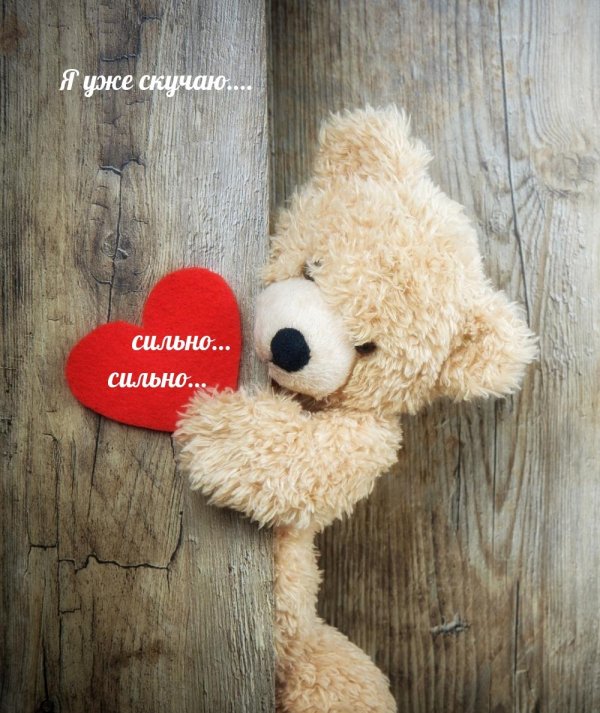 плюшевая мишка