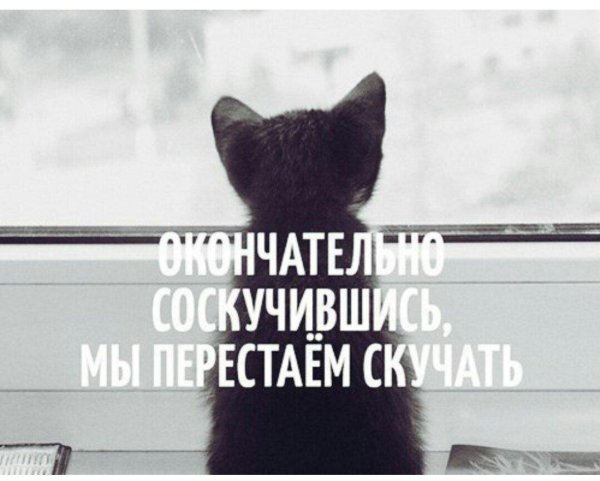 скучать цитаты