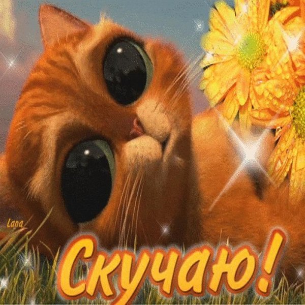 скучаю открытка