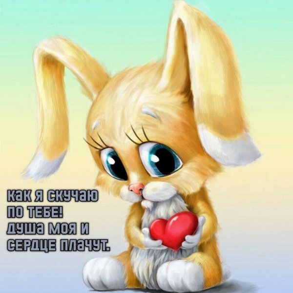 зайка скучает по любимому