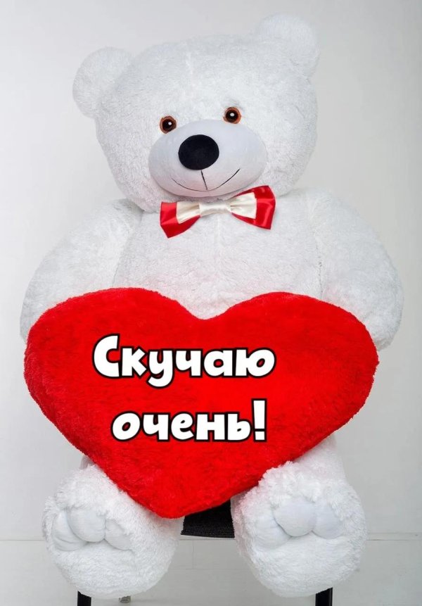 плюшевая мишка