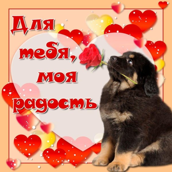 Ты моя радость девушке