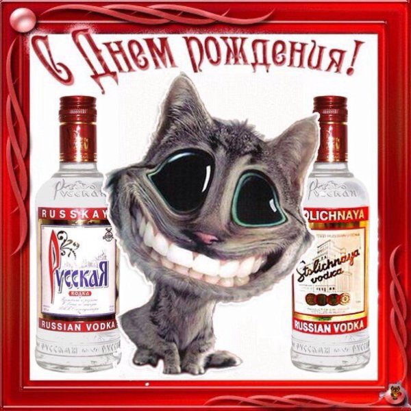 открытка с день рождения мужчине прикольные