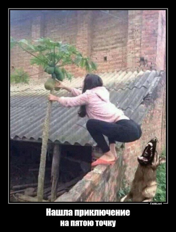 ржака до слез