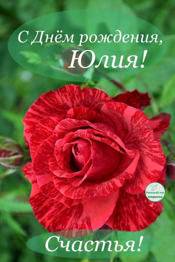 поздравление для юлии