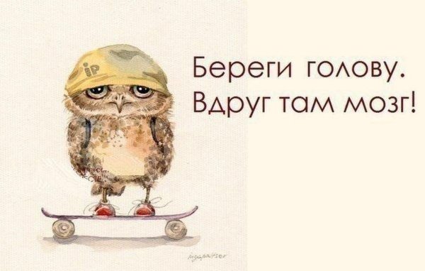 сова прикольная
