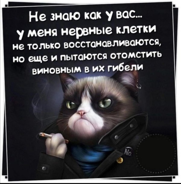 нервная клетка