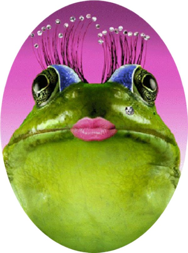 морда лягушки