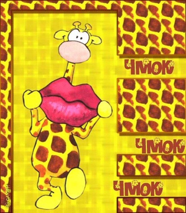 открытка поцелуи