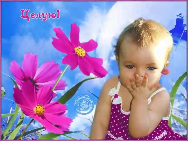 открытка целую