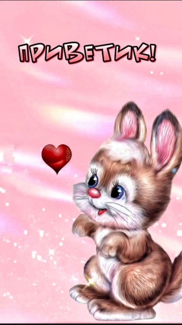 сказочные зверюшки