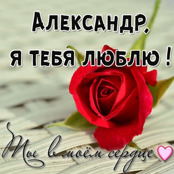 люблю александр