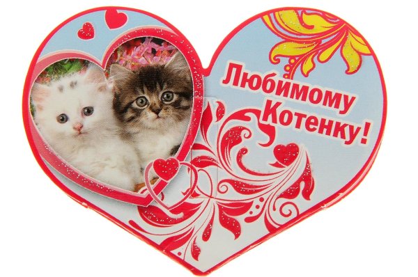 Любимый котик мужчине