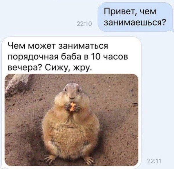 луговая собачка