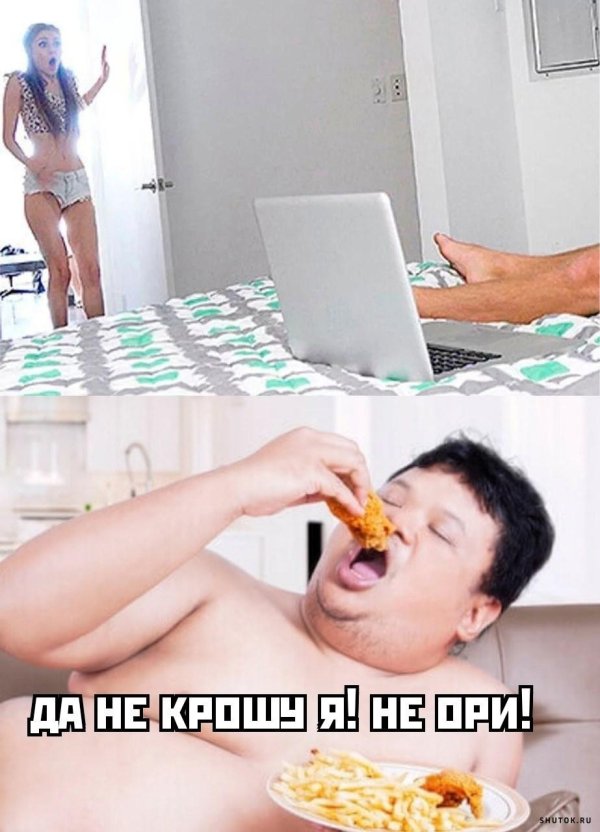 веселые приколы