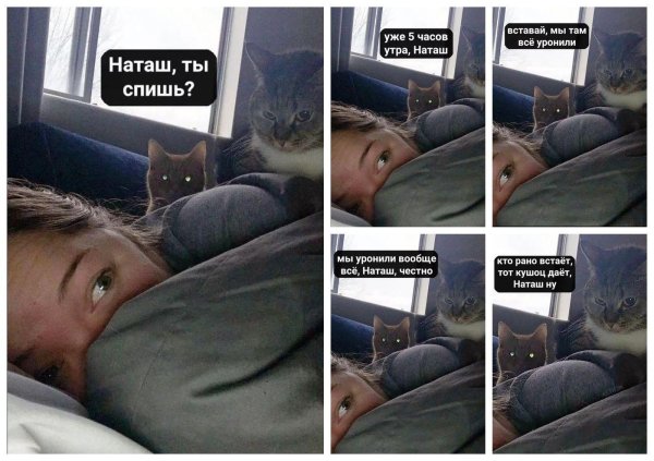 наташа вставай