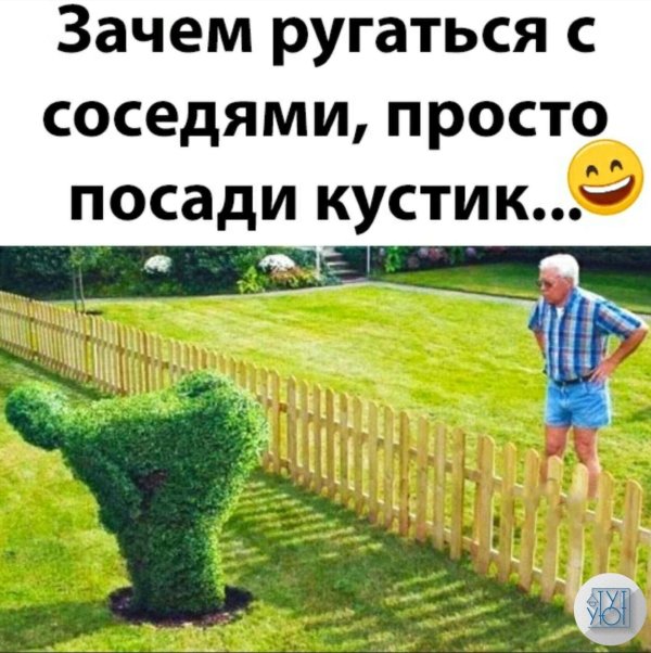 смешной куст