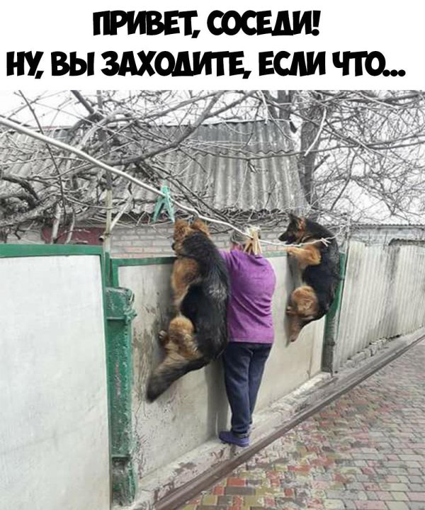 убойные приколы