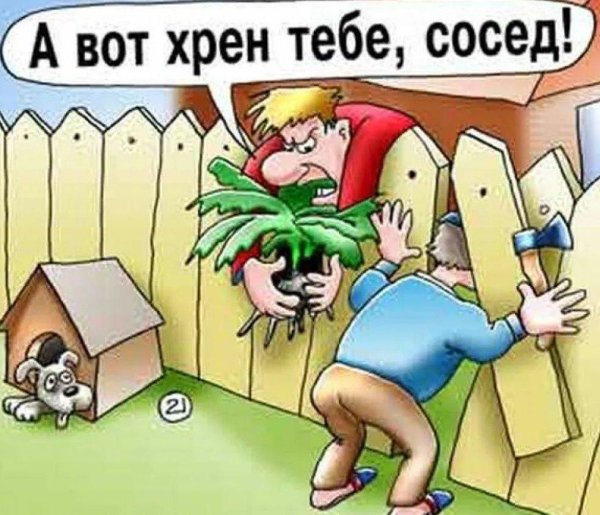 Соседи