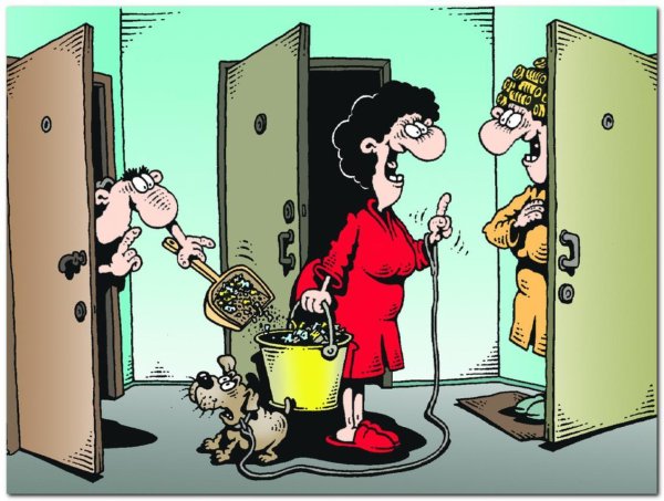 ссора соседей