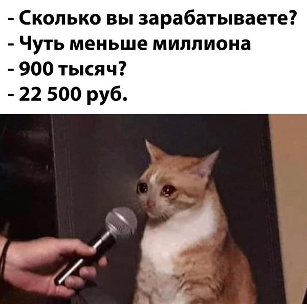 сколько вы зарабатываете чуть меньше миллиона