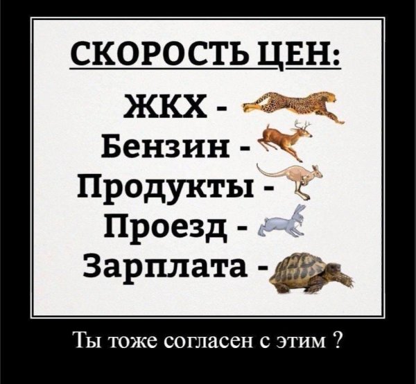 цены растут а зарплата нет