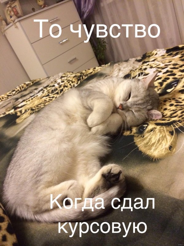 удачной сдачи экзамена