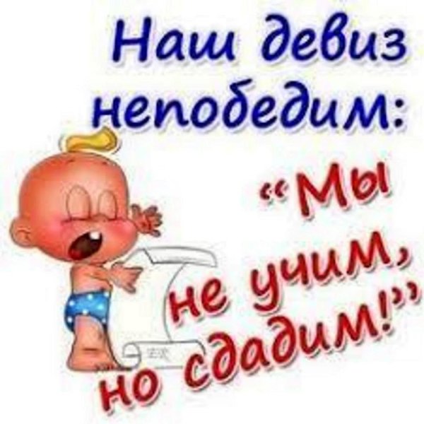 смешной девиз дня