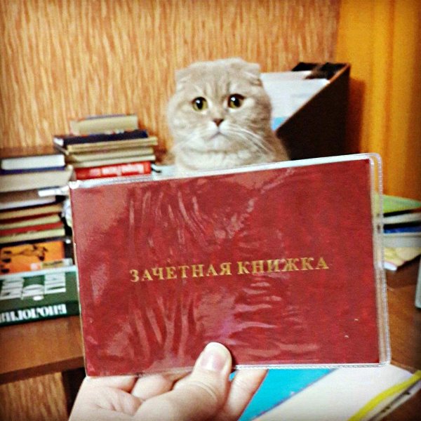зачетная книжка