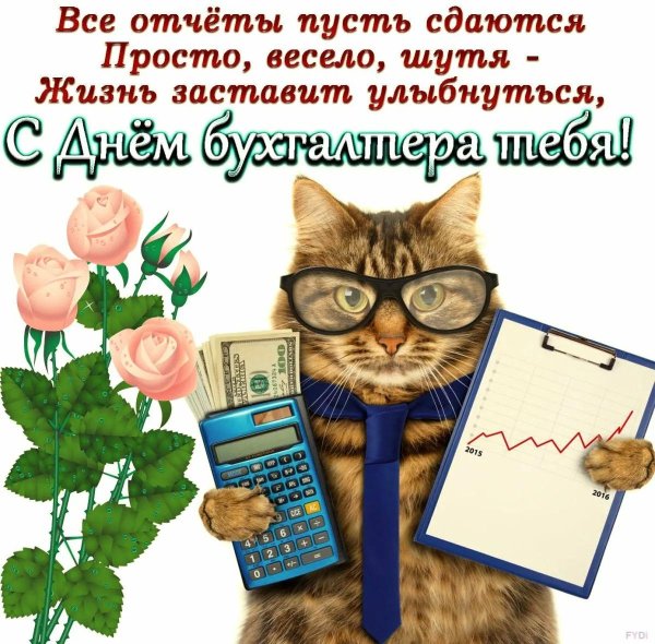 день бухгалтер