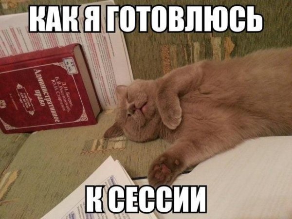 доброе утро смешные