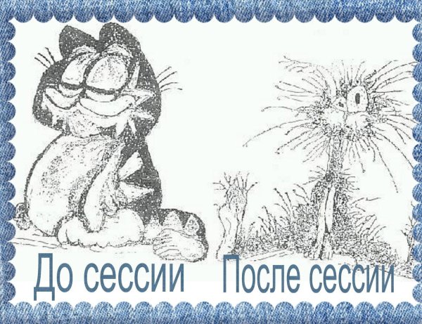 после сессии