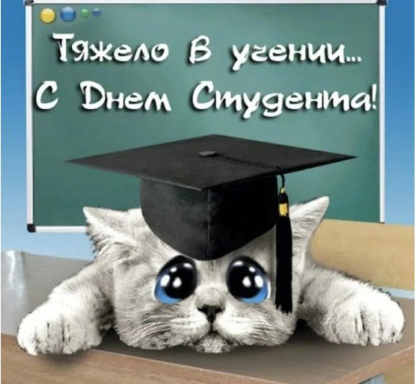 день студент