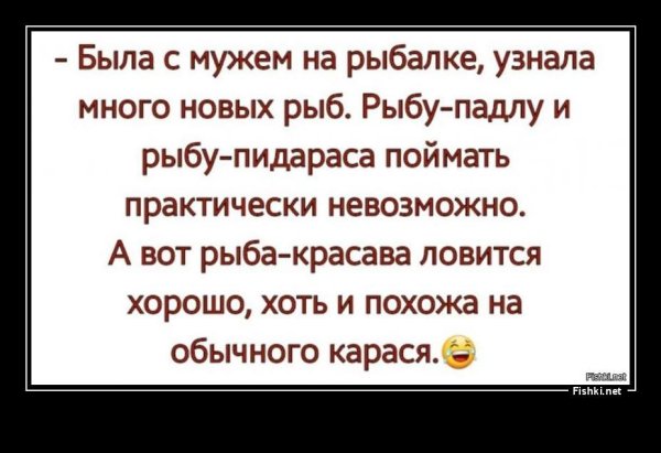 рыба красава