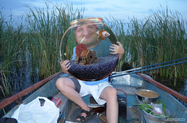 аквариум круглый