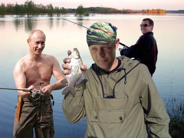 плетнев алексей