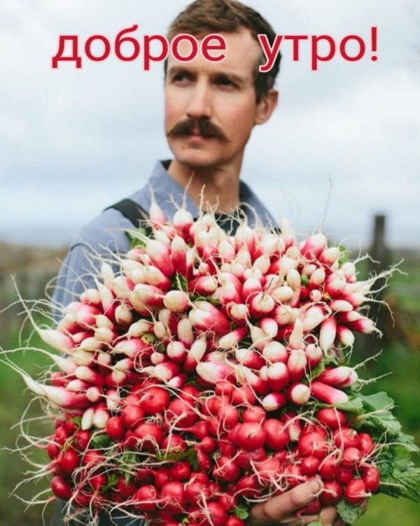 доброе утро доброе утро