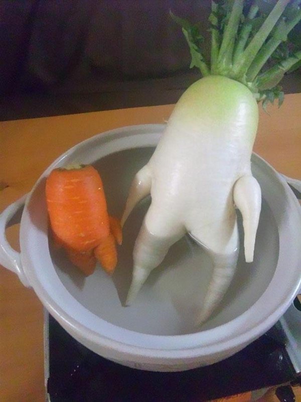 овощи смешные