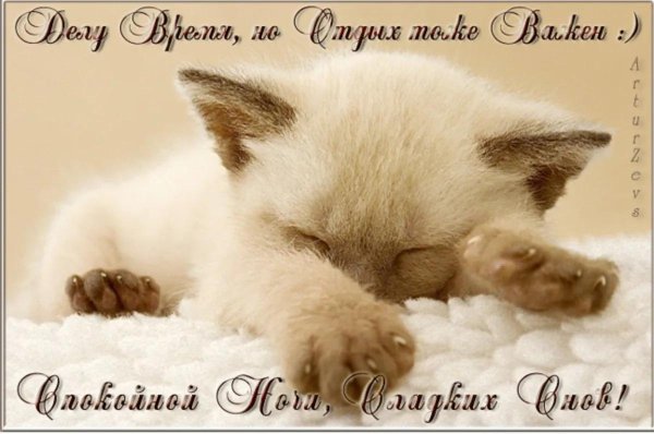 Споки ноки женщине