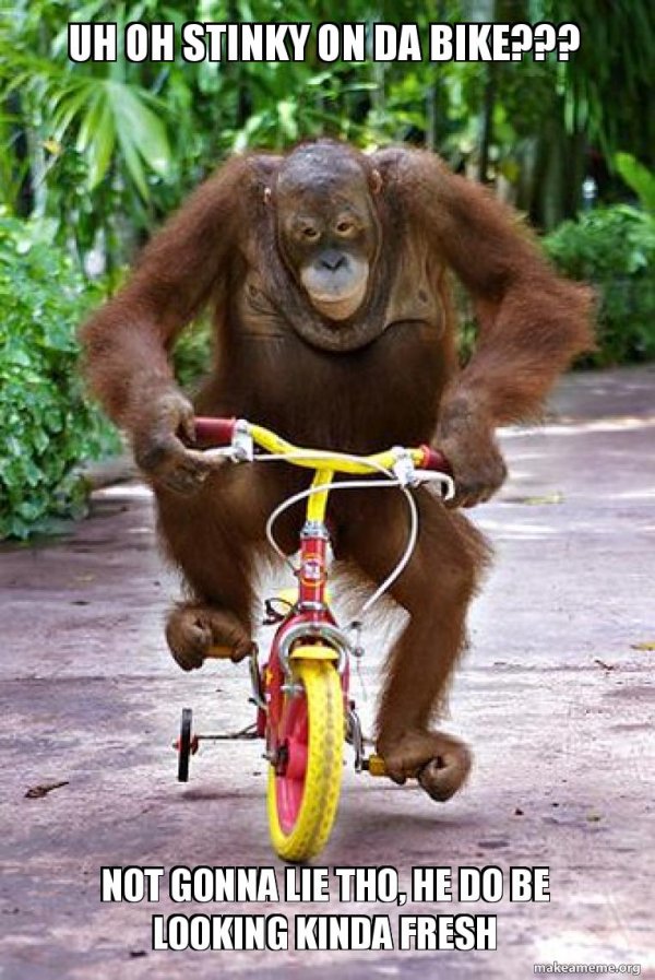 обезьянкага велосипеде