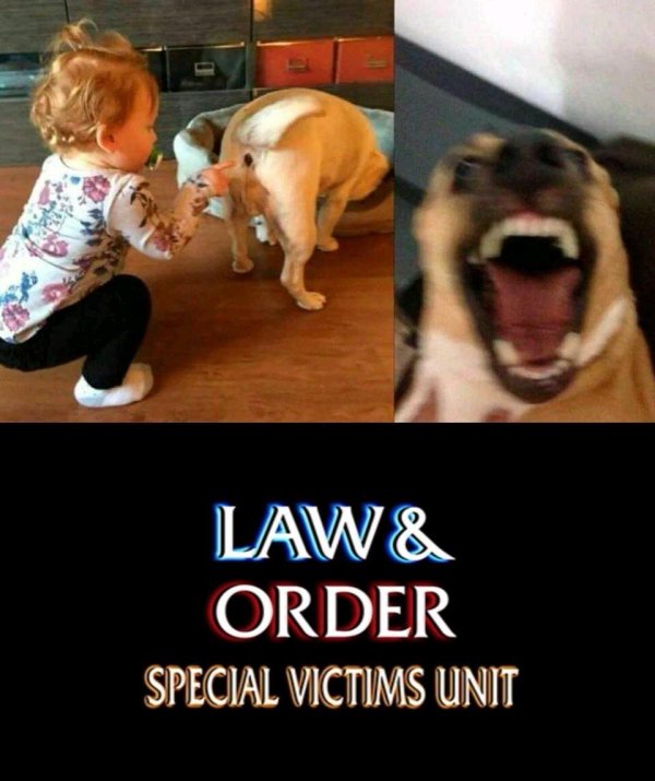 смешно до слез