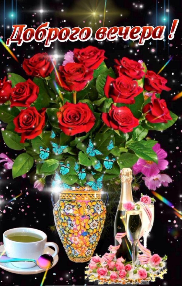 добр вечер