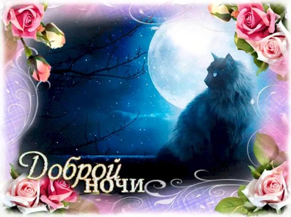 доброй и спокойной ночи