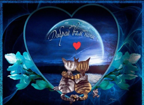 ночи доброй