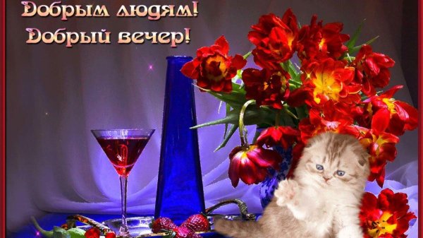 добрым людям добрый вечер