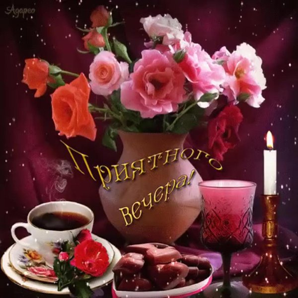 красивые поздравления с добрым вечером