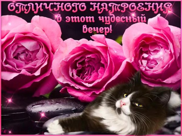 отличного вечера