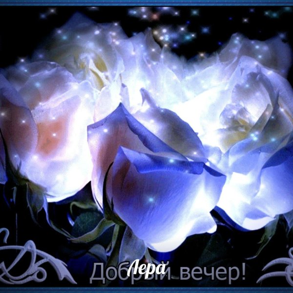 красивого доброго вечера