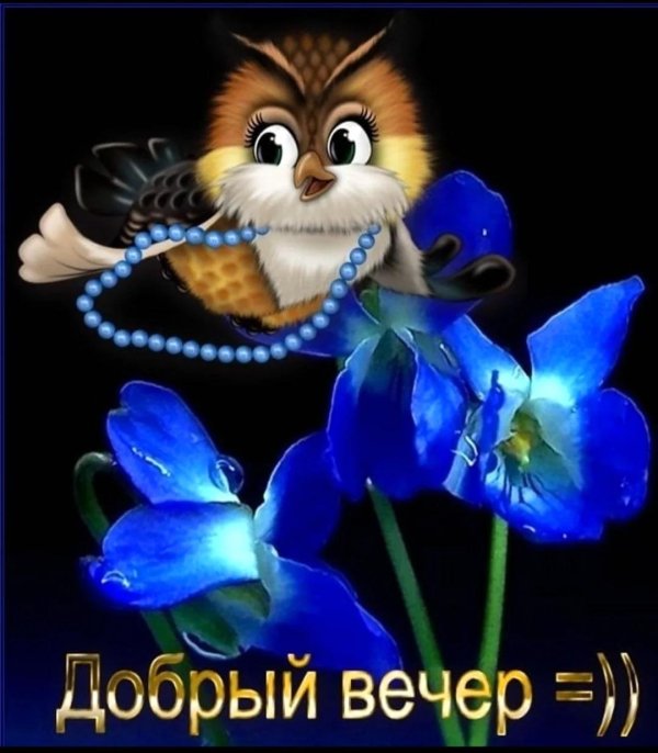 с добрым вечером прикольные